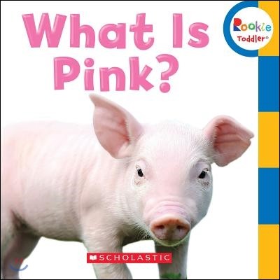 What Is Pink?