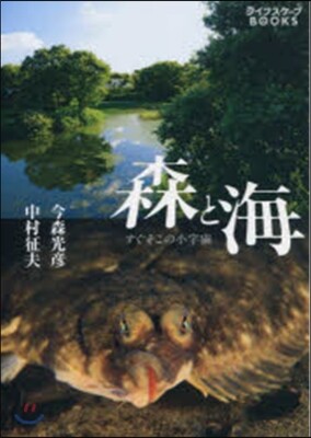 ライフスケ-プBOOKS No.001 森と海