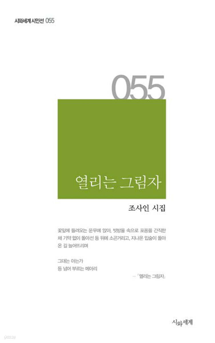 열리는 그림자