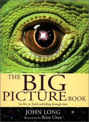 The Big Picture Book