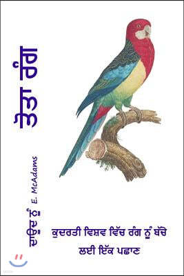 Parrot Colors (in Punjabi): A child's introduction to colors in the natural world.