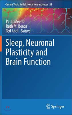 Sleep, Neuronal Plasticity and Brain Function