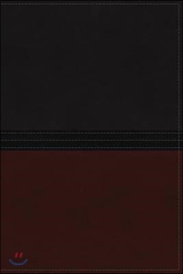 The Macarthur Study Bible
