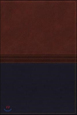 The Macarthur Study Bible
