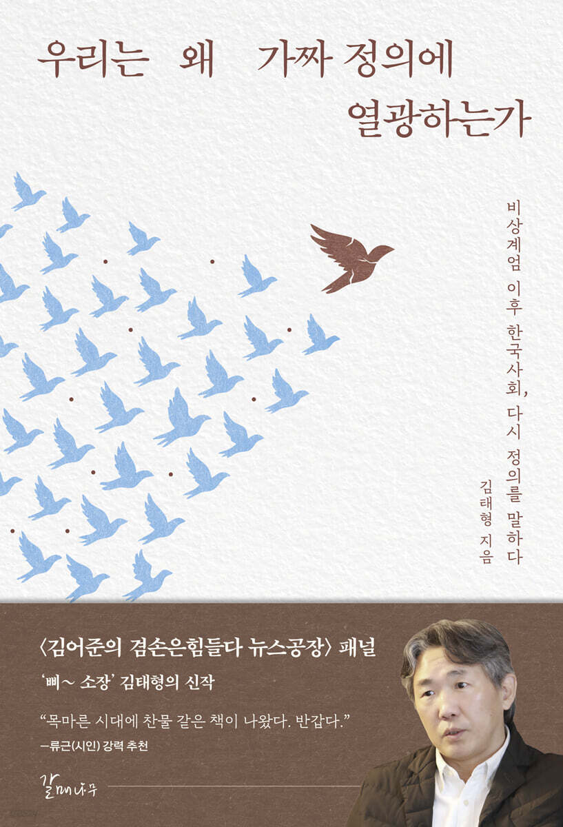 우리는 왜 가짜 정의에 열광하는가 (큰글자도서)