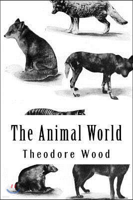 The Animal World: A Book of Natural History