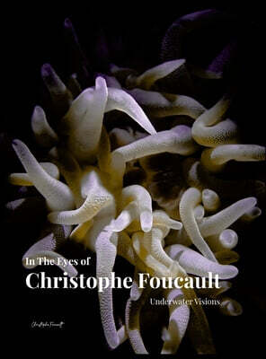 In The Eyes of Christophe Foucault Underwater Visions