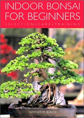 Indoor Bonsai for Beginners: Selection - Care - Training