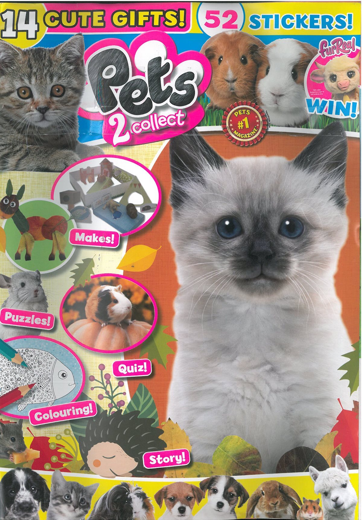 PETS 2 COLLECT   (월간) : 2025년 no.153