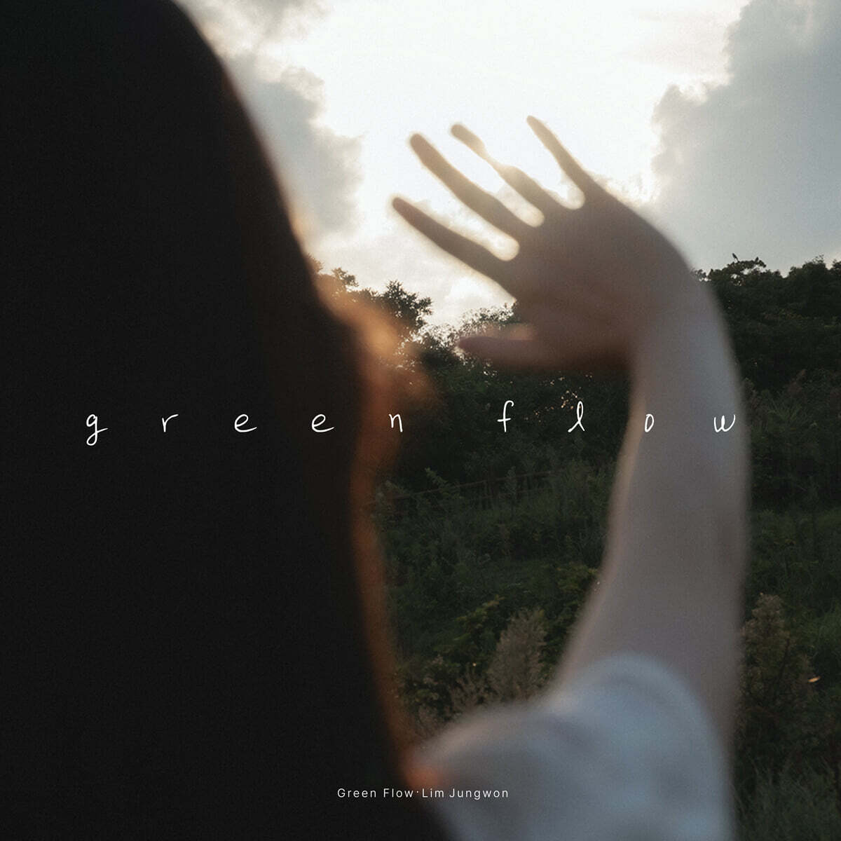 임정원 - Green Flow