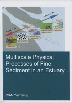 Multiscale Physical Processes of Fine Sediment in an Estuary