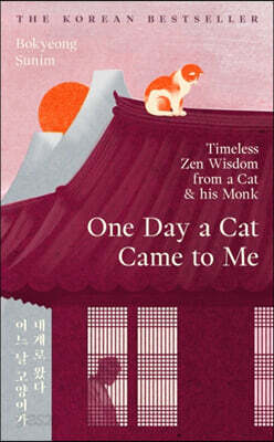 One Day a Cat Came to Me