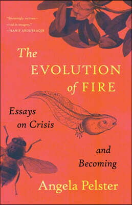 The Evolution of Fire