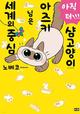 아직 더!!! 샴고양이 아즈키 님은 세계의 중심