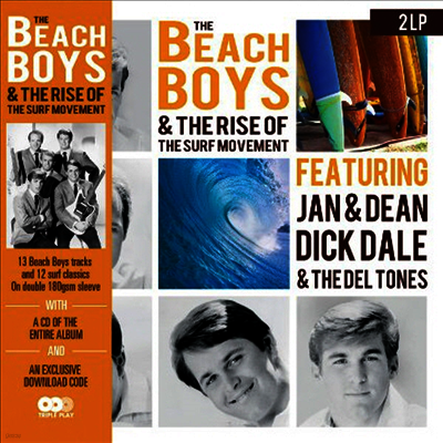 Beach Boys — The Beach Boys And The Rise Of The Surf Movement (Box Set)(MP3 Download) 앨범 커버