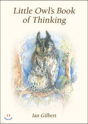 Little Owl's Book of Thinking: An Introduction to Thinking Skills