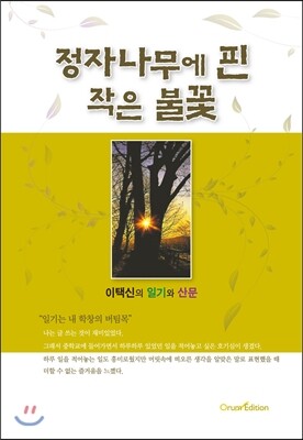 오름에디션(기획출판오름)  정자나무에 핀 작은 불꽃