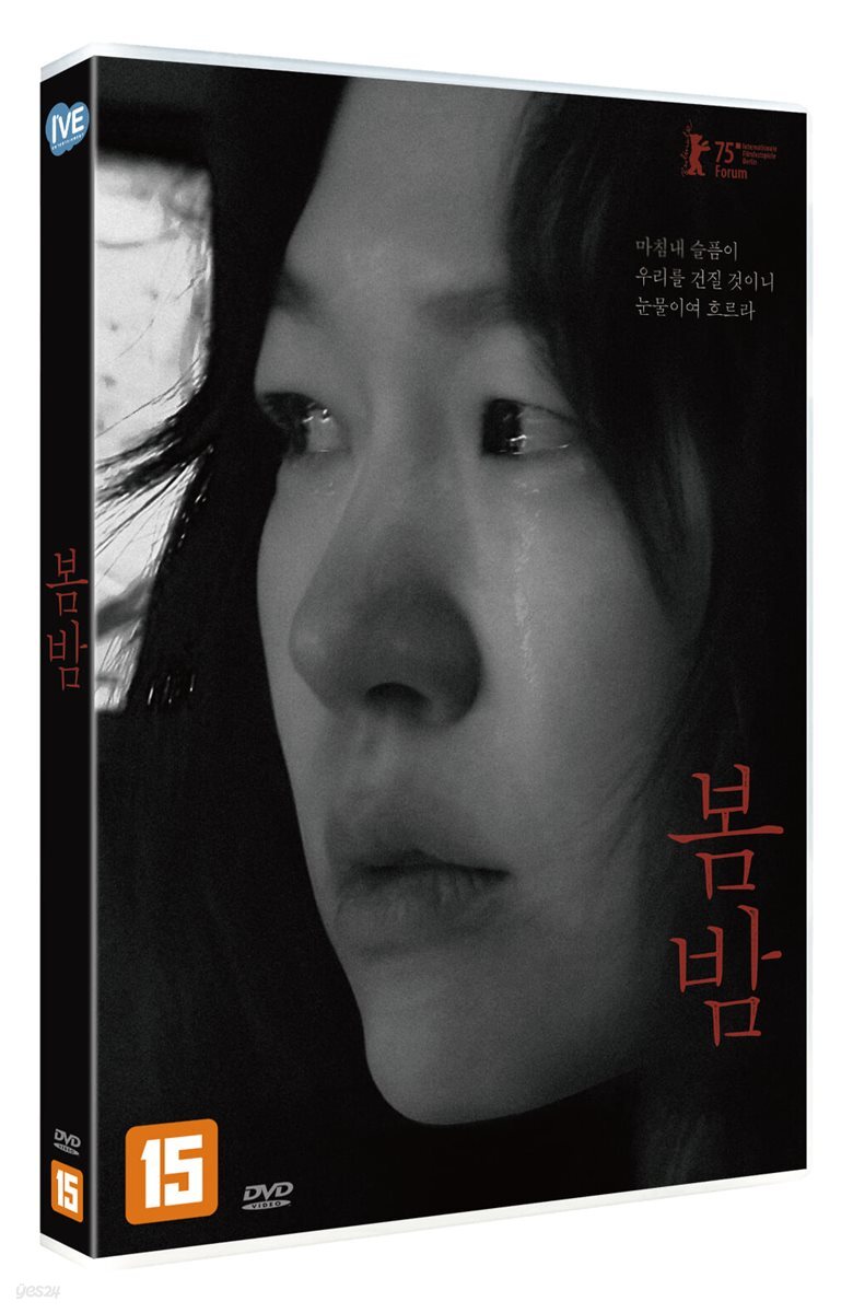 봄밤