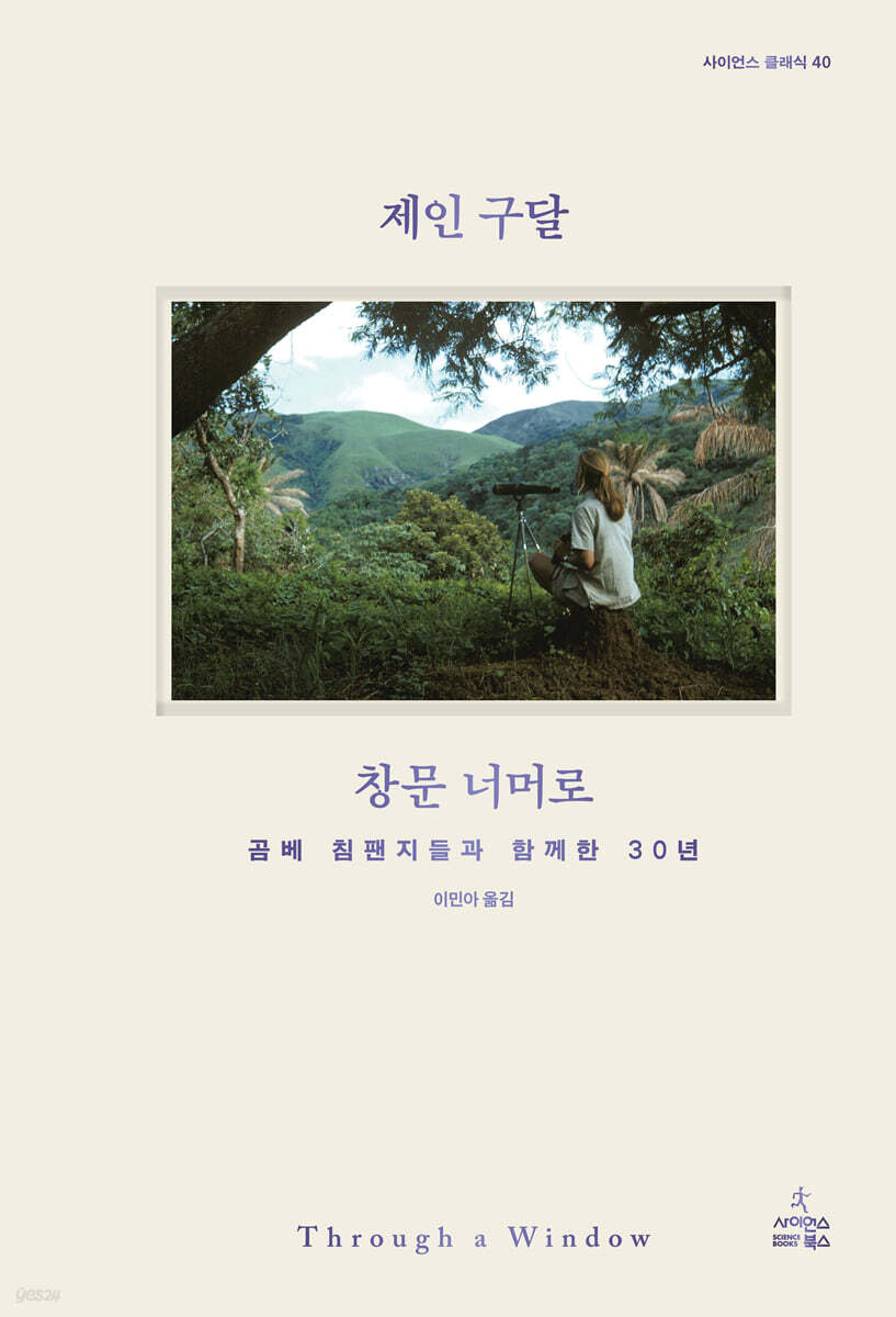 창문 너머로