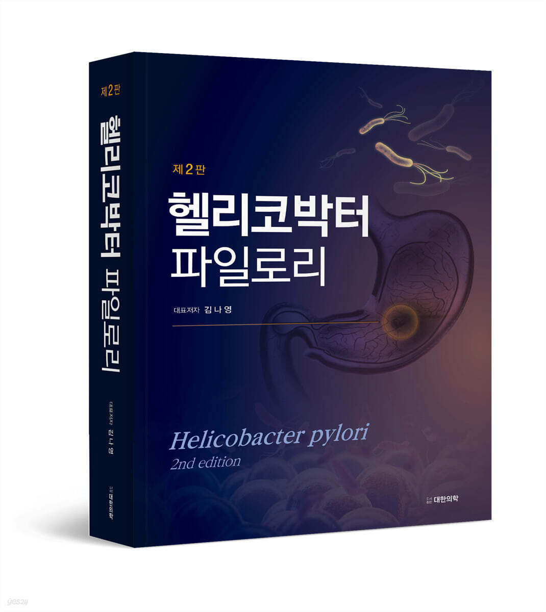 헬리코박터 파일로리