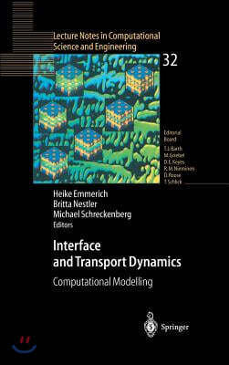 Interface and Transport Dynamics: Computational Modelling