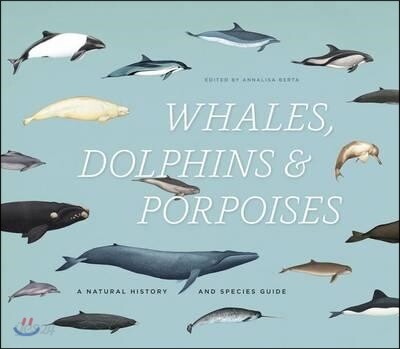 Whales, Dolphins & Porpoises: A Natural History and Species Guide