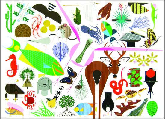 Charley Harper's Animal Kingdom: Popular Edition