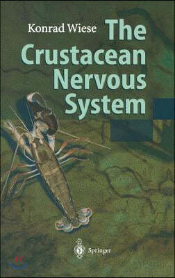 The Crustacean Nervous System