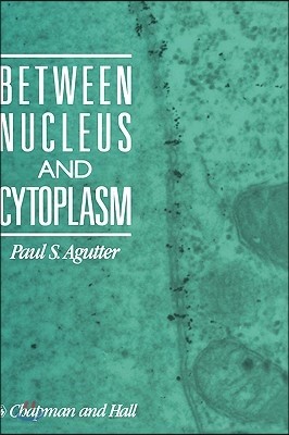 Between Nucleus and Cytoplasm