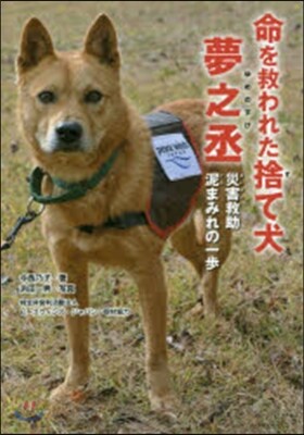 命を救われた捨て犬夢之丞 災害救助泥まみ