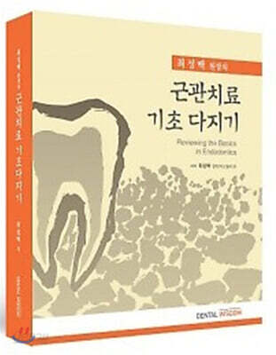 근관치료 기초 다지기