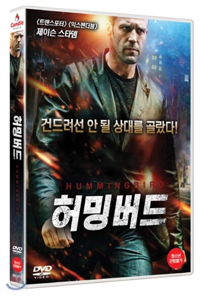 허밍버드
