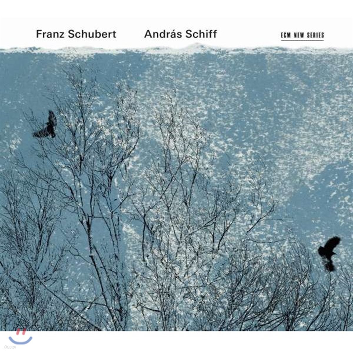Andras Schiff 슈베르트: 피아노 소나타, 악흥의 순간, 즉흥곡, 헝가리 멜로디 (Schubert: Piano Sonatas, Moments Musicaux, Ungarischen Melodie)