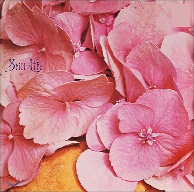 Still Life — Still Life 앨범 커버