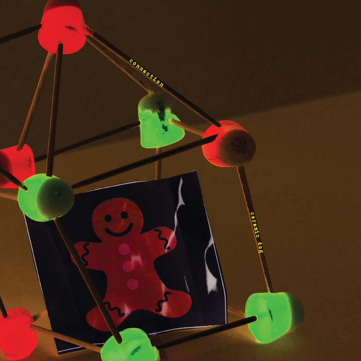 Marc Ribot's Ceramic Dog (마크 리봇츠 세라밋 독) - 5집 Connection