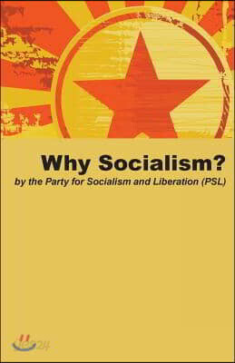 Why Socialism?