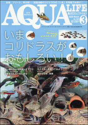 エムピ-ジェ- 月刊アクアライフ 2026年3月號