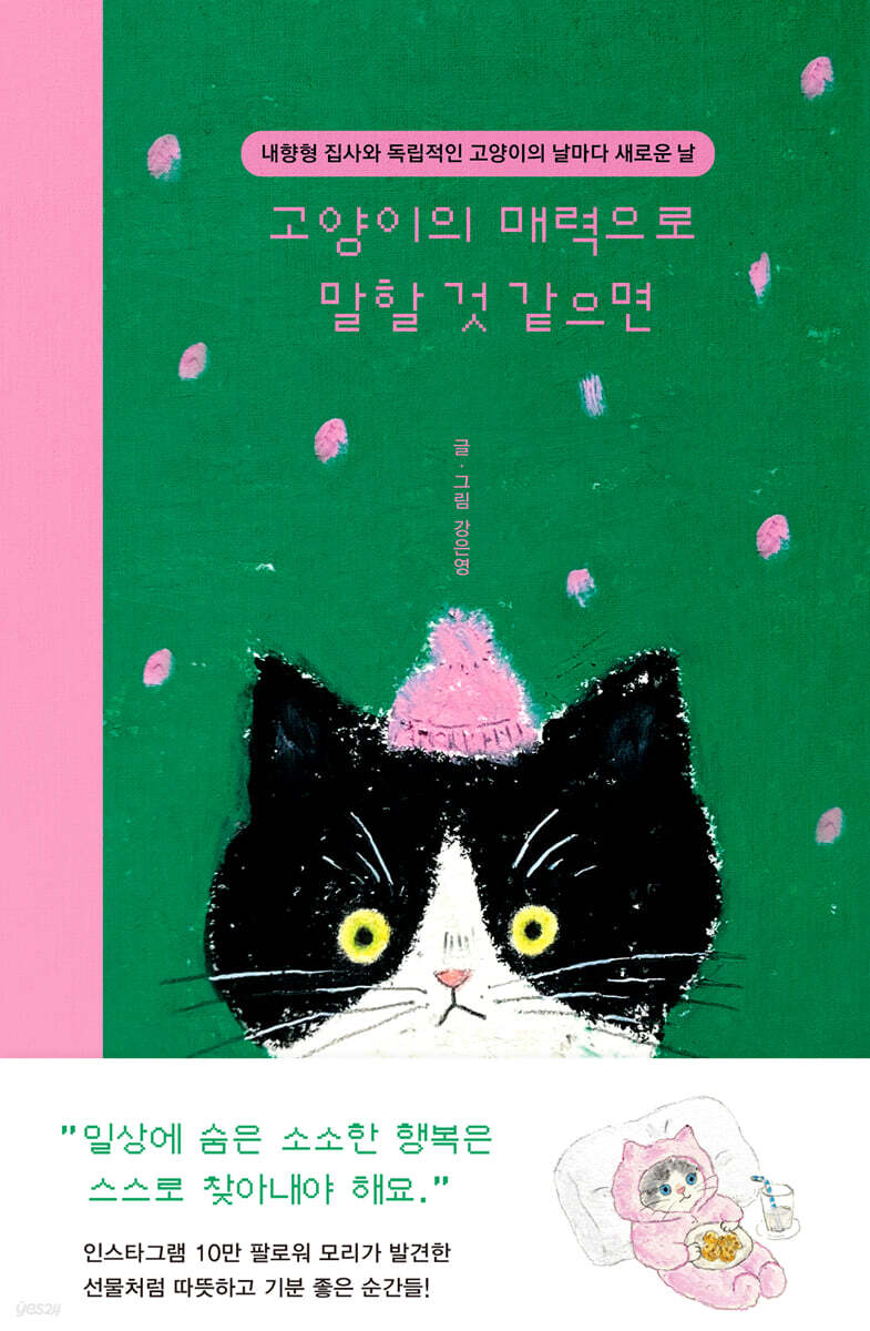 고양이의 매력으로 말할 것 같으면