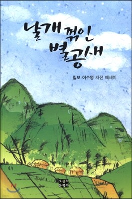 날개 꺽인 별공새