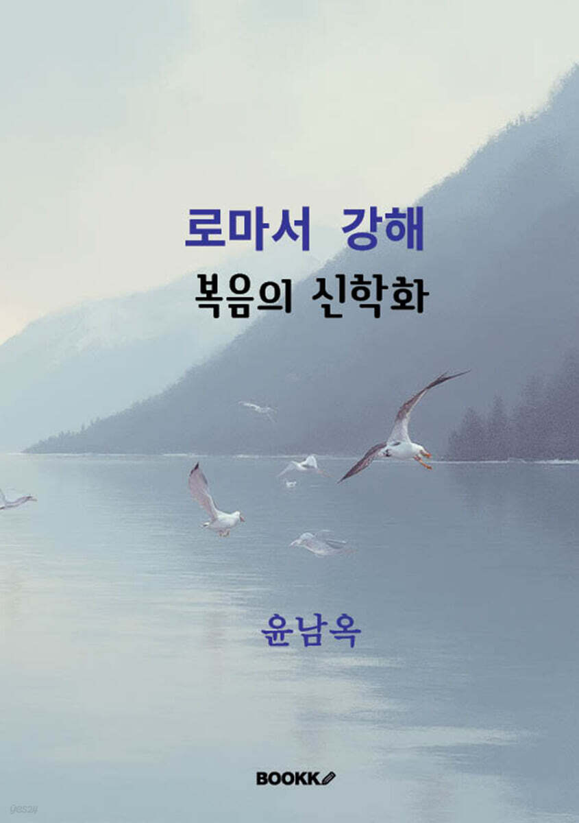 로마서 강해 - 복음의 신학화