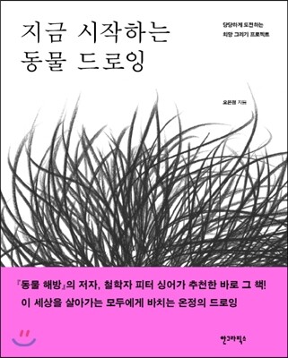 지금 시작하는 동물 드로잉