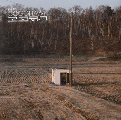 고고학 (Gogohawk) - VOL.04 [화이트 스카이 마블 컬러 LP]