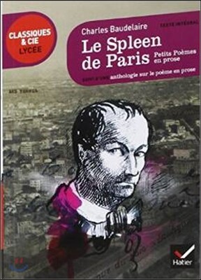 Le Spleen De Paris