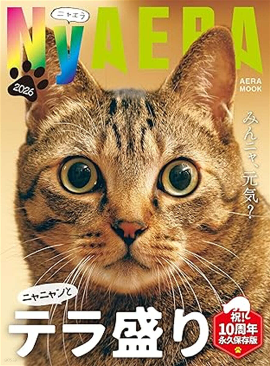 NyAERA 2026 テラ盛り
