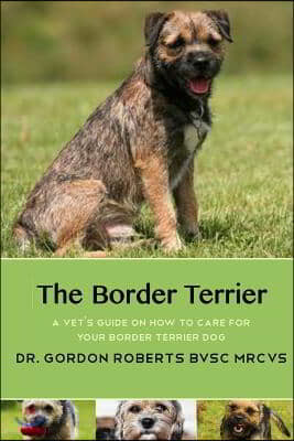 The Border Terrier: A vet's guide on how to care for your Border Terrier dog