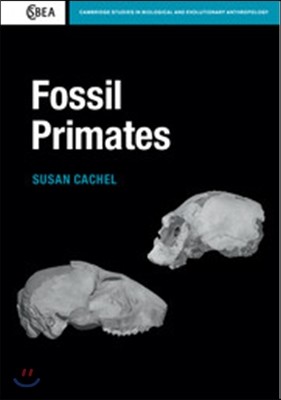 Fossil Primates