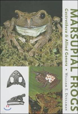 Marsupial Frogs: Gastrotheca and Allied Genera