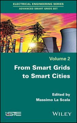 From Smart Grids to Smart Cities: New Challenges in Optimizing Energy Grids