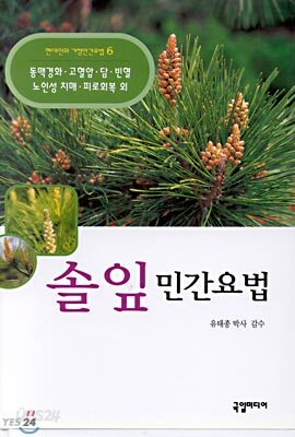솔잎 민간요법