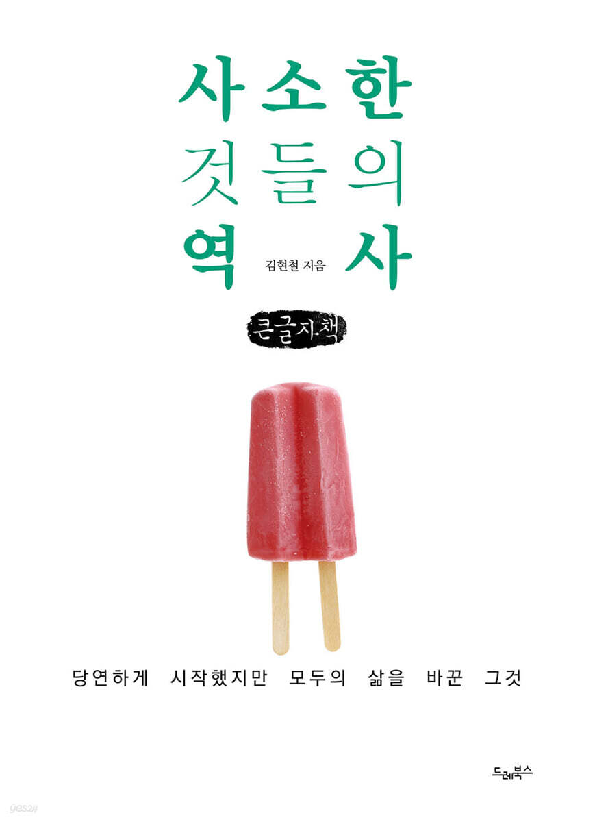 사소한 것들의 역사 (큰글자책)